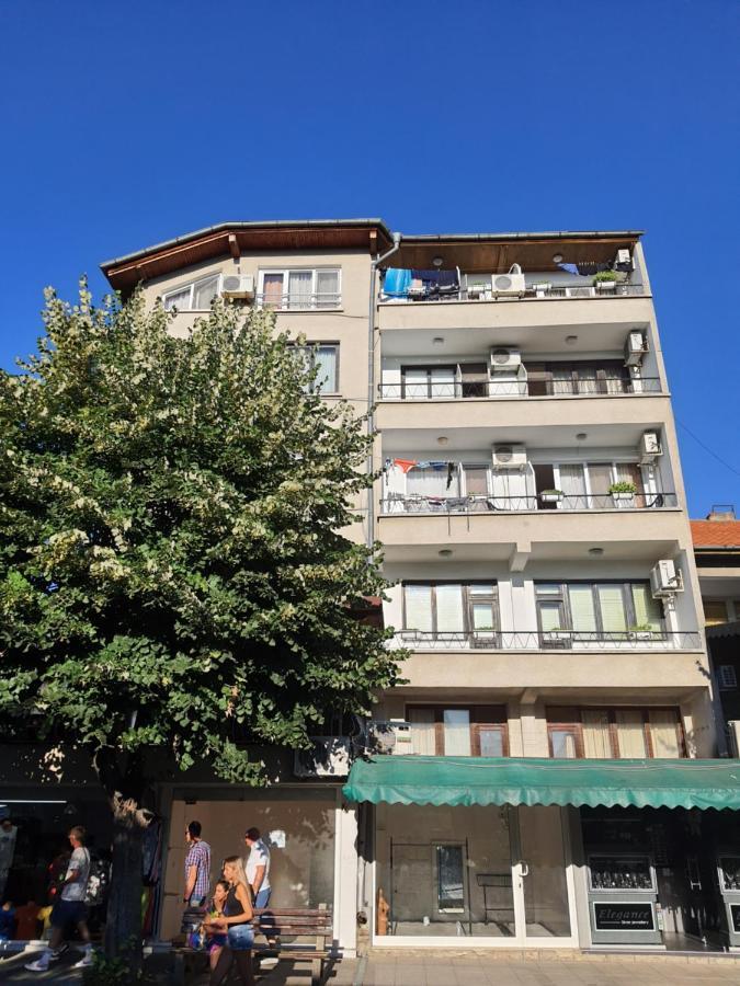 Guest House Kolev - Central 네세부르 외부 사진
